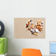 Seashells Beach Wall Decal
