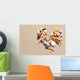 Seashells Beach Wall Decal