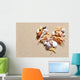 Seashells Beach Wall Decal