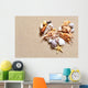 Seashells Beach Wall Decal