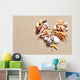 Seashells Beach Wall Decal