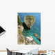 Corsica-cliffs Wall Decal