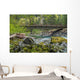 Bridge Staircase Campground Olympic Wall Decal