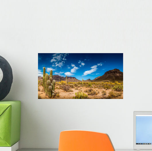 Arizona Desert Landscape Wall Decal