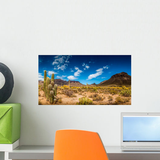 Arizona Desert Landscape Wall Decal