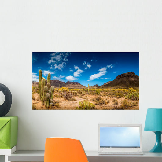 Arizona Desert Landscape Wall Decal