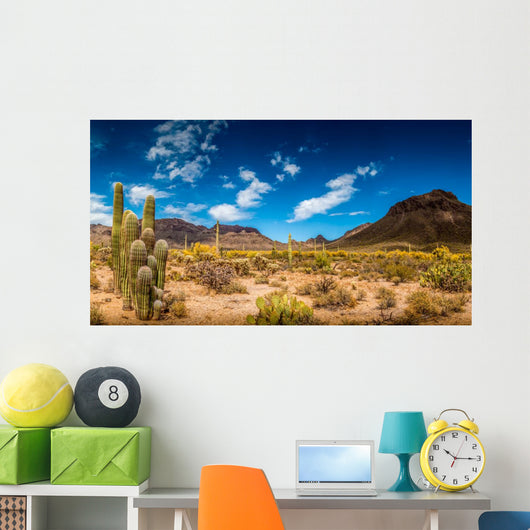 Arizona Desert Landscape Wall Decal