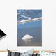 Sea Shell Sand Wall Decal
