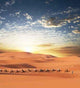 Caravan Desert Wall Decal
