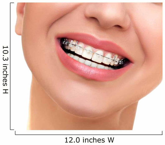 Closeup Beautiful Female Smile Wall Decal
