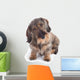 Hairy Dachshund Wall Decal
