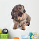 Hairy Dachshund Wall Decal