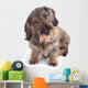 Hairy Dachshund Wall Decal