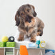 Hairy Dachshund Wall Decal