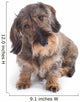 Hairy Dachshund Wall Decal