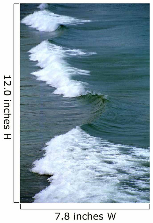 Edge Sea Wall Decal