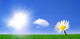 Sonne Wall Decal
