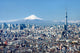 Tokyo Skyline Mount Fuji Wall Decal