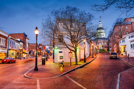 Downtown Annapolis Maryland Wall Decal