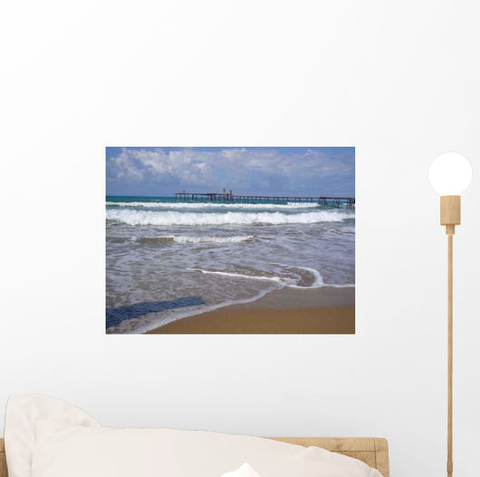 Surf Wall Mural