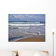 Surf Wall Mural