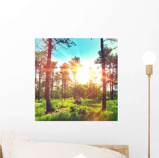 Magic Lights Forest Wall Decal