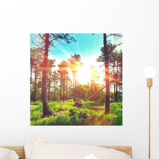 Magic Lights Forest Wall Decal