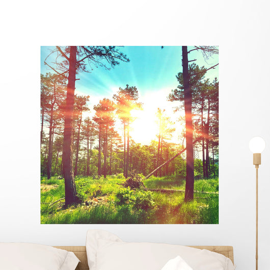 Magic Lights Forest Wall Decal