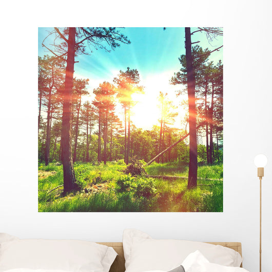 Magic Lights Forest Wall Decal