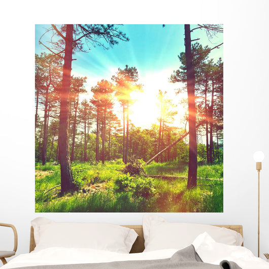 Magic Lights Forest Wall Decal