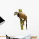 Ring-tailed Lemur (6 weeks) - Lemur catta Wall Decal