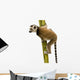 Ring-tailed Lemur (6 weeks) - Lemur catta Wall Decal