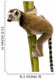 Ring-tailed Lemur (6 weeks) - Lemur catta Wall Decal