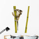 Ring-tailed Lemur Wall Decal