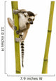 Ring-tailed Lemur Wall Decal