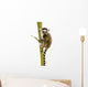 Ring-tailed Lemur (6 Weeks) - Lemur Catta Wall Decal