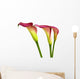 Group Calla Lilies Wall Decal