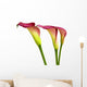 Group Calla Lilies Wall Decal