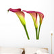 Group Calla Lilies Wall Decal