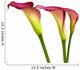 Group Calla Lilies Wall Decal