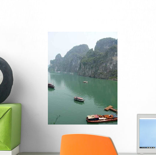 Many D 39 Ha-lung Wall Decal