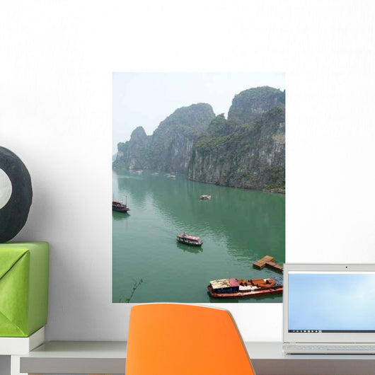 Many D 39 Ha-lung Wall Decal