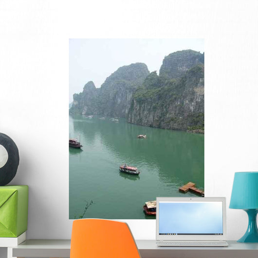 Many D 39 Ha-lung Wall Decal