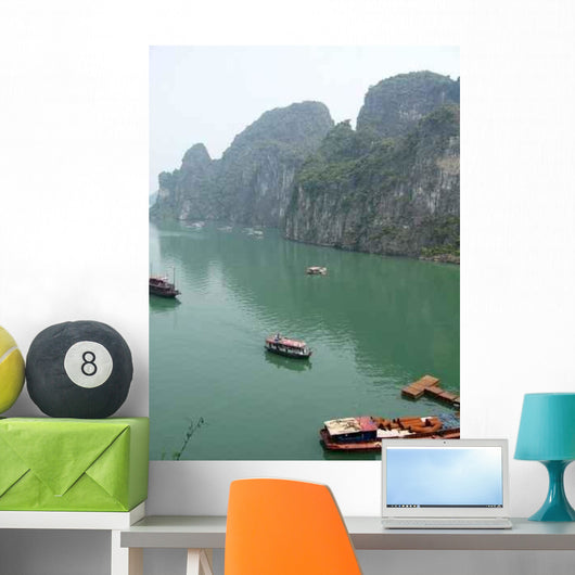 Many D 39 Ha-lung Wall Decal