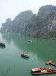 Many D 39 Ha-lung Wall Decal