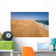 Coastline Namib Desert near Wall Decal