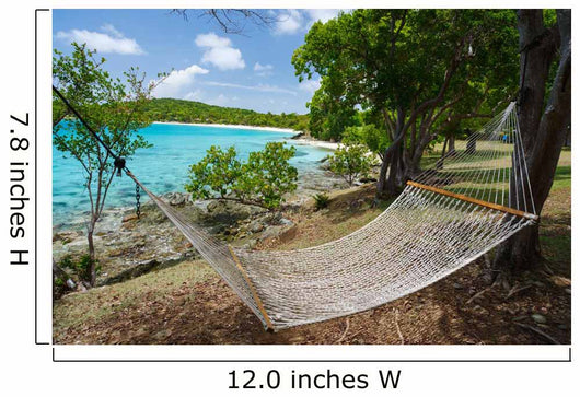 Beautiful Caribbean Tropical Beach Wall Decal