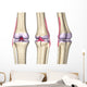 Knee Joint Anatomy Wall Decal