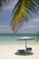 Beach Honduras Wall Decal