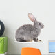Baby rabbit. Wall Decal